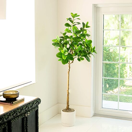 Nearly Natural 6ft. Green Audrey Ficus Indoor Artificial Tree