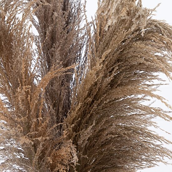 Nearly Natural 30in. Brown Dried Natural Pampas Floral Arrangement