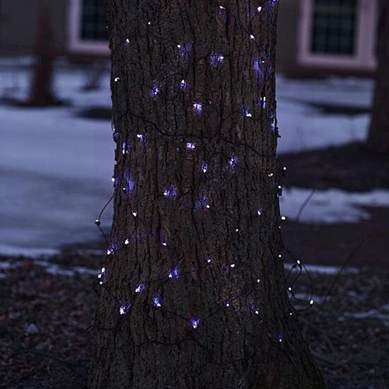 Northlight 8ft Net Style Led Tree Trunk Wrap Net Lights