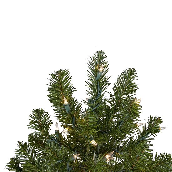 Northlight 3ft Prelit Full Canadian Pine 3 Foot Pre-Lit Pine Christmas Tree