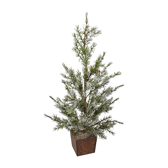 Northlight 28" Potted Frosted Pine 2 Foot Pine Christmas Tree