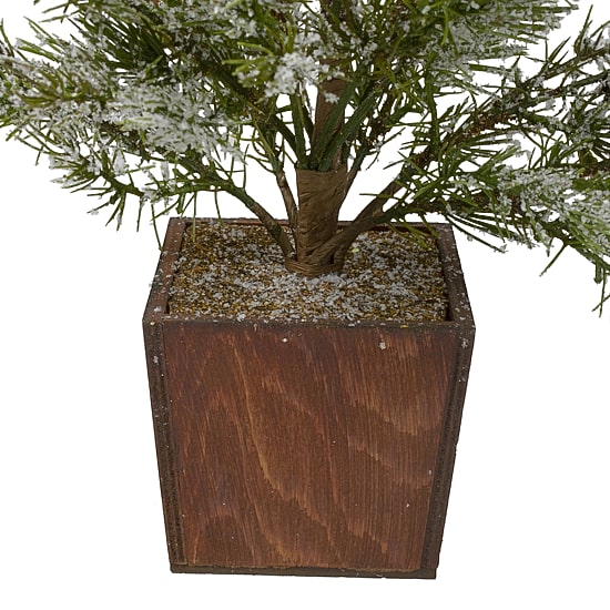 Northlight 28" Potted Frosted Pine 2 Foot Pine Christmas Tree