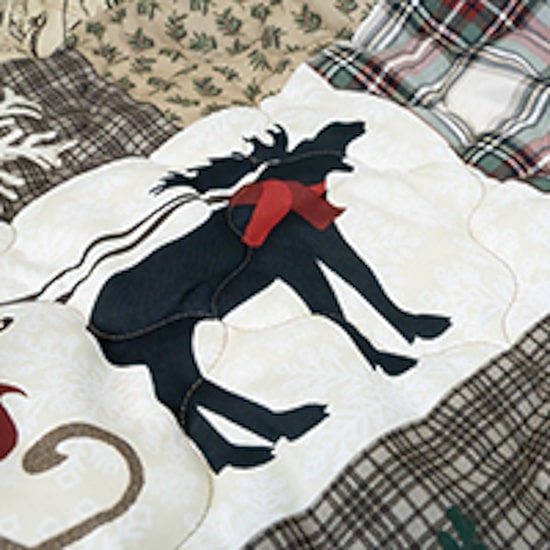 Your Lifestyle By Donna Sharp Dashing Easy Care Quilt Set