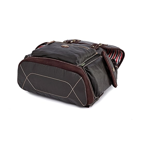 TSD Brand Dolphin Laptop Backpack