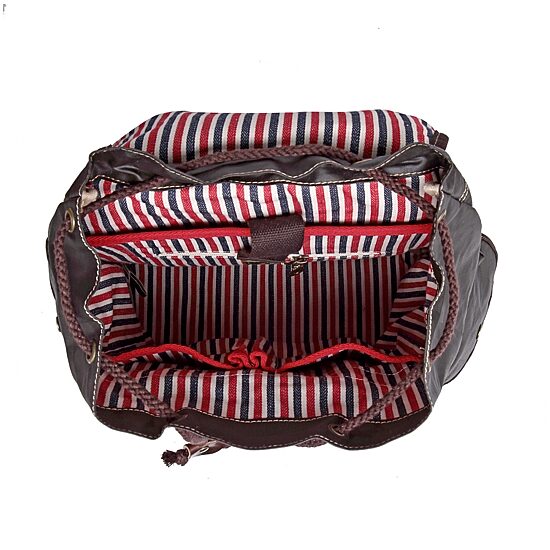TSD Brand Dolphin Laptop Backpack