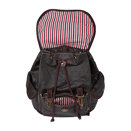 TSD Brand Dolphin Laptop Backpack