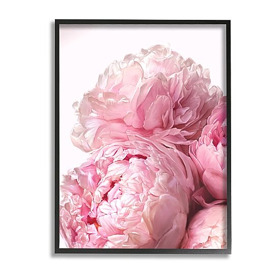 Stupell Industries Blush Pink Peony Florals Framed Print