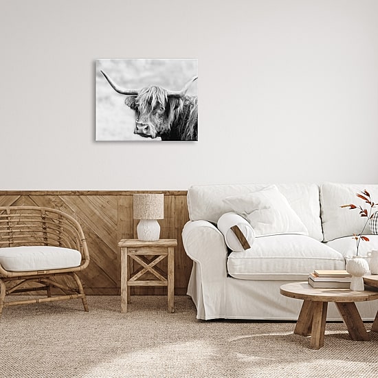 Stupell Industries Bold Country Cattle Photography Canvas Art