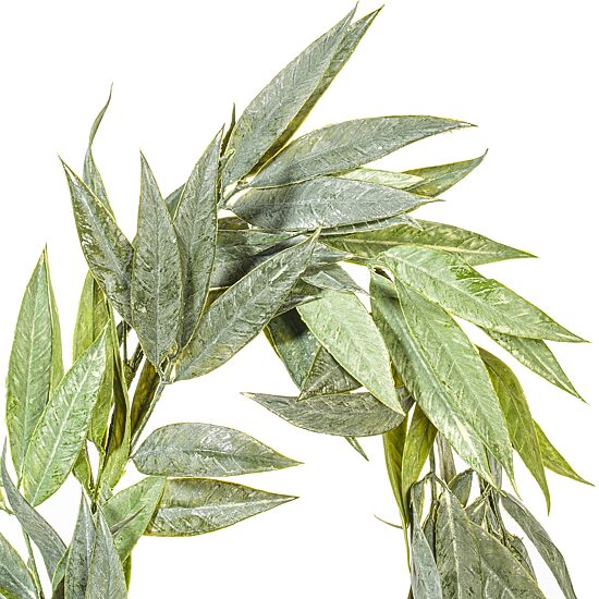 Vickerman 6' Green Muddy White Willow Garland X 30