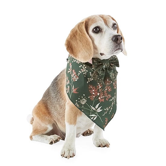 Paw & Tail Lrg Floral Bandanna Bow Set Floral Dog Bandana