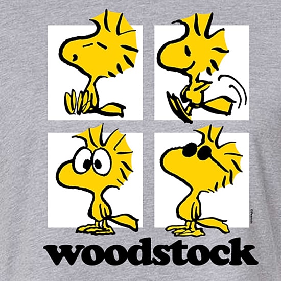 Woodstock Cropped Tee Womens Juniors Crew Neck Long Sleeve Regular Fit Peanuts Graphic T-Shirt
