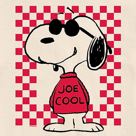 Joe Cool Tee Womens Juniors Crew Neck Short Sleeve Regular Fit Peanuts Graphic T-Shirt