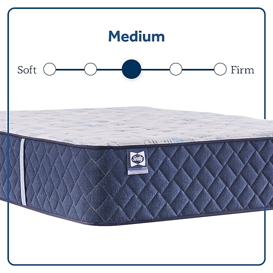 Sealy Wellmont 14.5" Medium Tight Top - Mattress Only