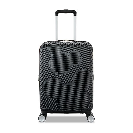 Skyway Chesapeake 4.0 28 Inch Hardside Expandable Checked Spinner