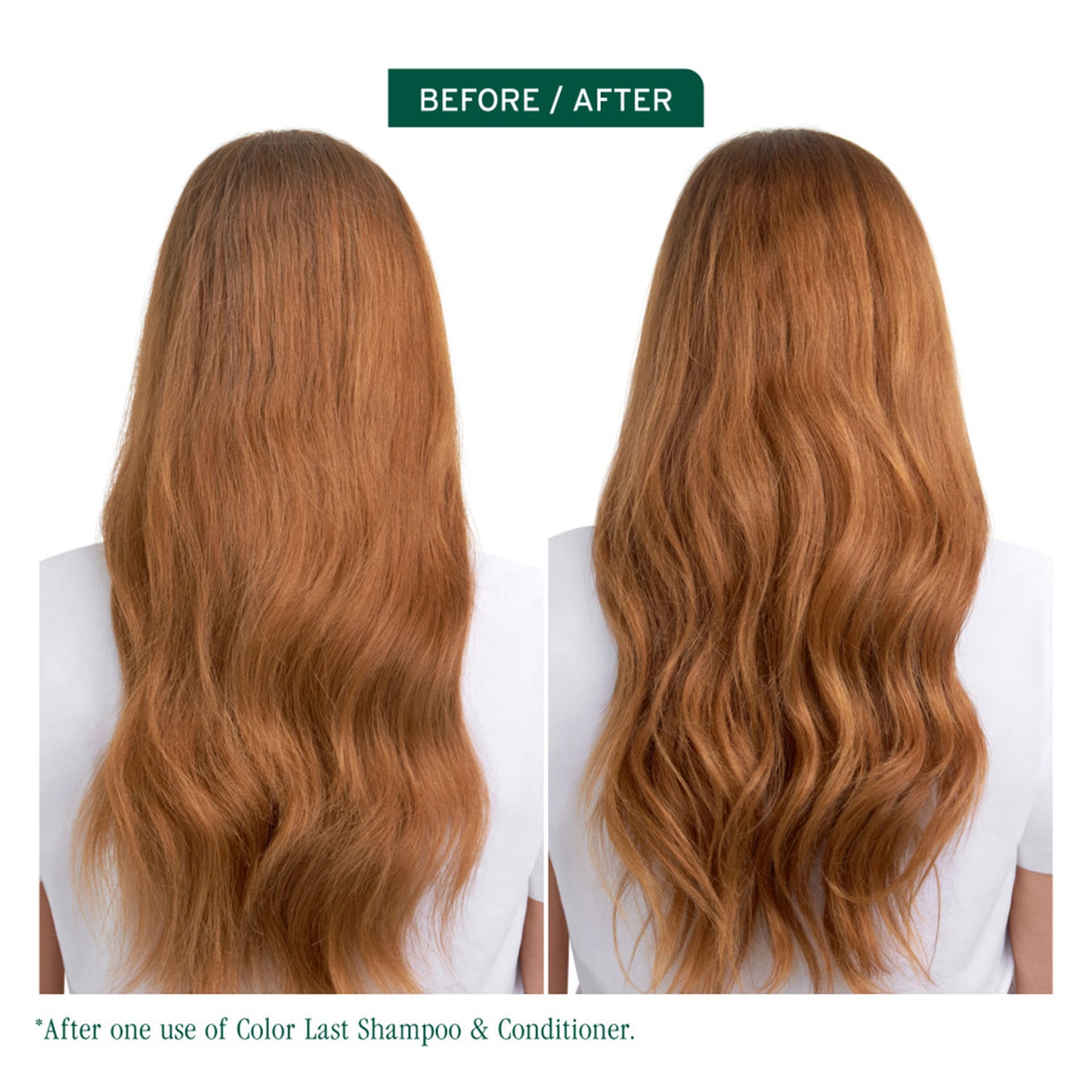 Biolage Color Last Refill Shampoo 16.9 oz.
