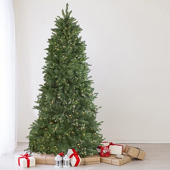 Northlight Medium Neola Fraser Artificial Dual Led Lights 6 1/2 Foot Pre-Lit Fir Christmas Tree