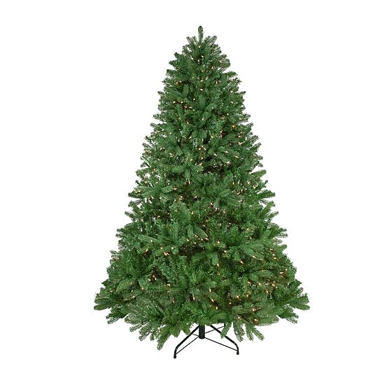 Northlight Full Sierra Noble Artificial  Clear Lights 6 1/2 Foot Pre-Lit Fir Christmas Tree