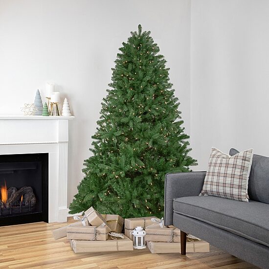 Northlight Full Sierra Noble Artificial  Clear Lights 6 1/2 Foot Pre-Lit Fir Christmas Tree