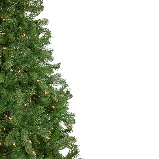 Northlight Full Sierra Noble Artificial  Clear Lights 6 1/2 Foot Pre-Lit Fir Christmas Tree