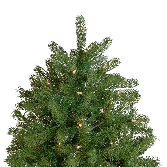 Northlight Full Sierra Noble Artificial  Clear Lights 6 1/2 Foot Pre-Lit Fir Christmas Tree
