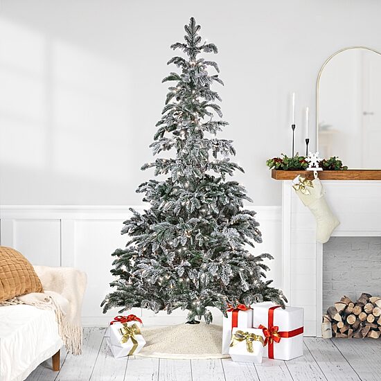 Northlight Full Whistler Noble Artificial Clear Lights 6 1/2 Foot Flocked Fir Christmas Tree