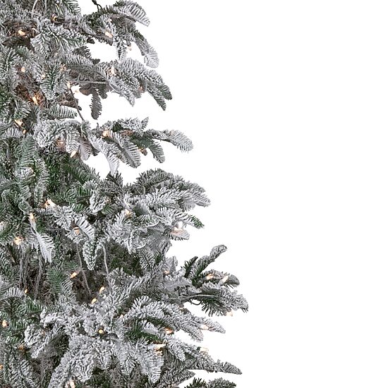 Northlight Full Whistler Noble Artificial Clear Lights 6 1/2 Foot Flocked Fir Christmas Tree