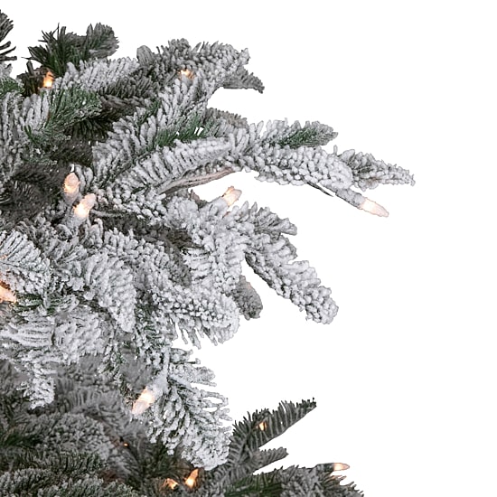 Northlight Full Whistler Noble Artificial Clear Lights 6 1/2 Foot Flocked Fir Christmas Tree