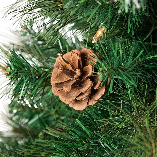 Northlight Frosted Carolina Berry Spruce Artificial  Clear Lights 4 Foot Pre-Lit Christmas Tree