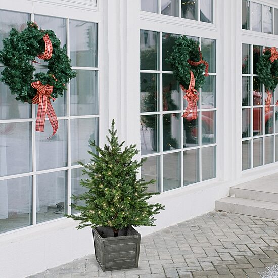 Northlight Potted Deluxe Russian Artificial  Warm White Led Lights 4 Foot Pre-Lit Pine Christmas Tree