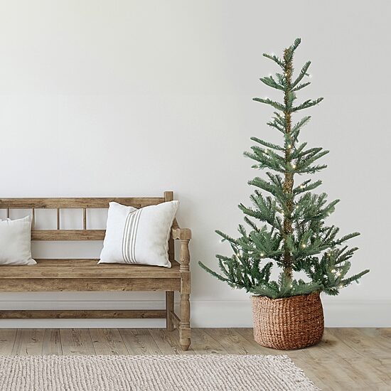 Northlight Nordmann Fir 7 1/2 Foot Pre-Lit Fir Christmas Tree
