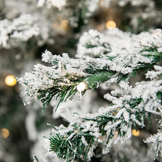 Northlight Slim Flocked Pine 9 Foot Pre-Lit Pine Christmas Tree