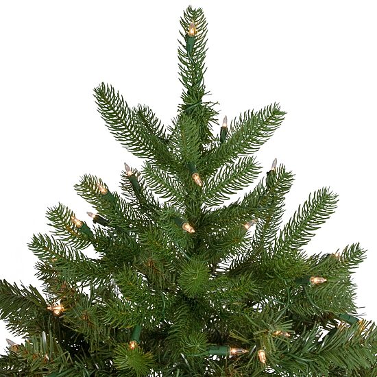 Northlight Palisades Fir 6 Foot Pre-Lit Fir Christmas Tree