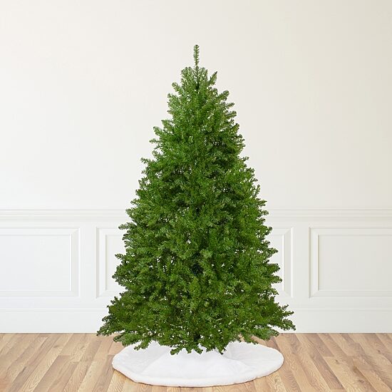 Northlight Full Northern Unlit 10 Foot Pine Christmas Tree