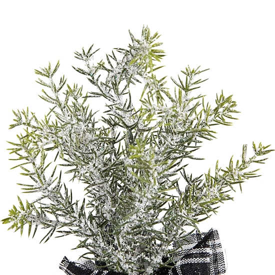Northlight 9" Mini Frosted Pine Artificial 1 Foot Pine Christmas Tree