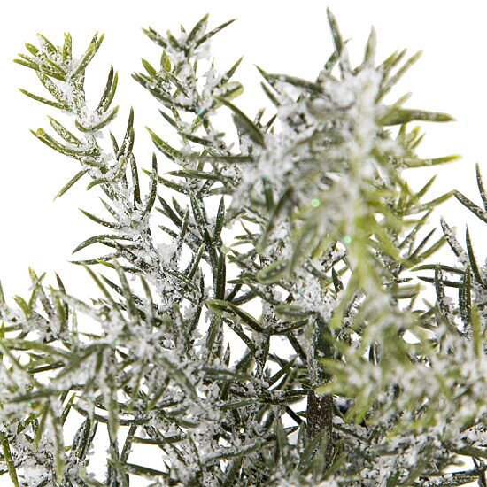 Northlight 9" Mini Frosted Pine Artificial 1 Foot Pine Christmas Tree