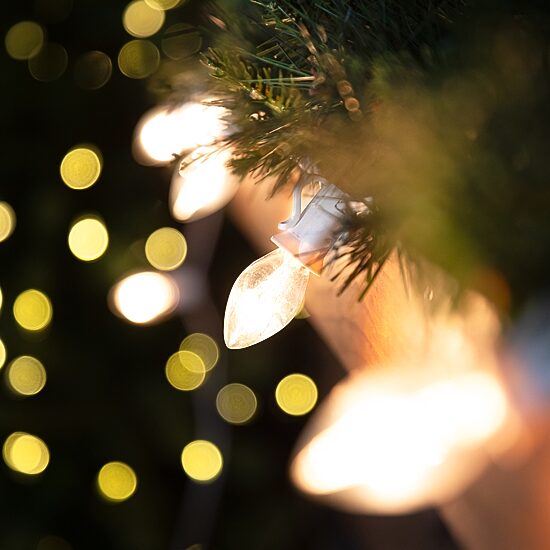 Northlight 24ft 25ct Clear C7 String Lights