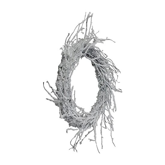 Northlight 24" Snow Flocked Iridescent Glitter Wreath