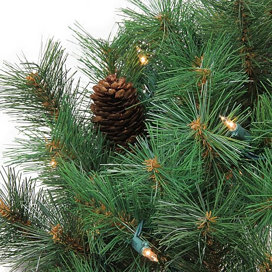 Northlight 24" Prelit Royal Oregon Pine Wreath