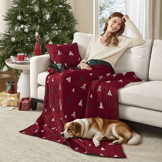 Madison Park Holly Christmas Jacquard 2 Piece Throw & Pillow Set