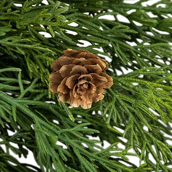 Northlight 24" Cedar With Pinecones Wreath