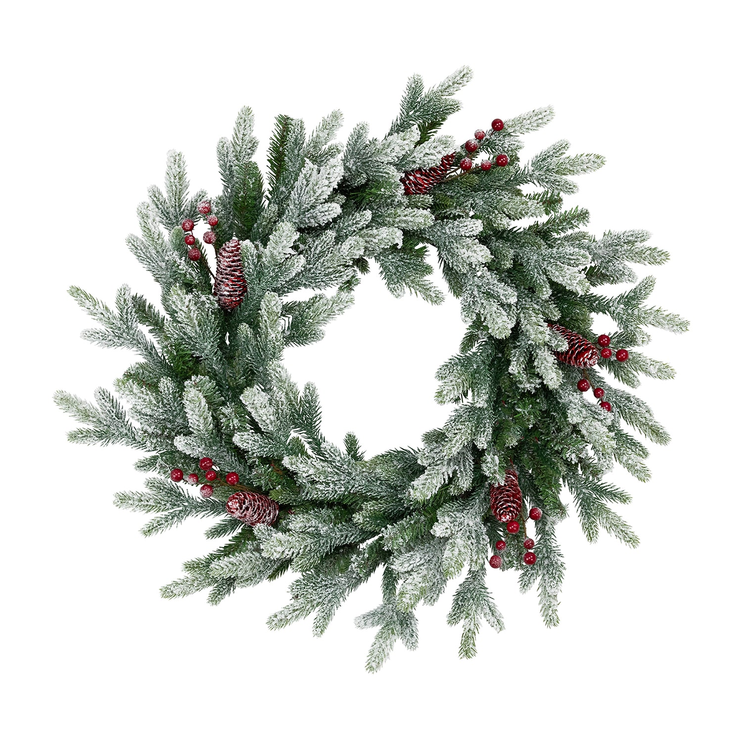Northlight 24" Flocked Snowcap Grove Fir Wreath