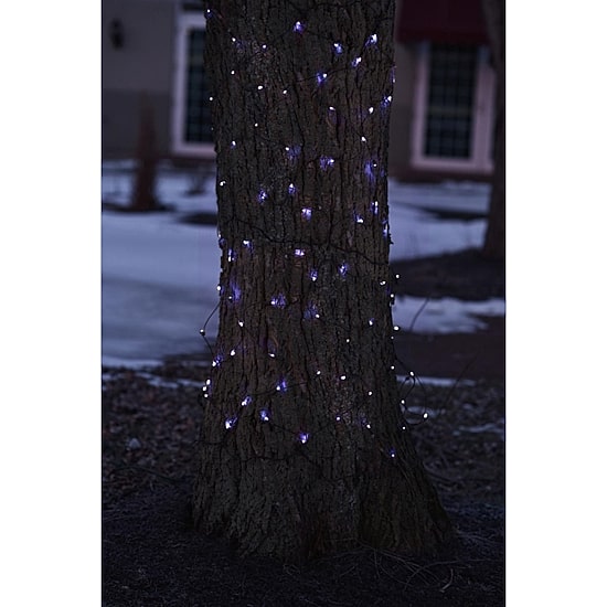 Northlight 2ft Mini Incandescent Net Lights