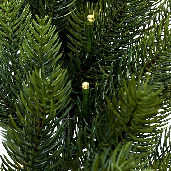 Northlight 24" Battery Operated Led Noble Fir Wreath