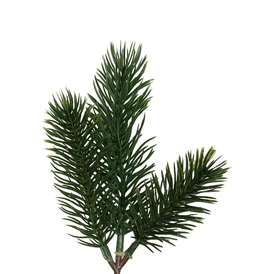 Northlight 6ft Winter Pine Christmas Indoor Garland