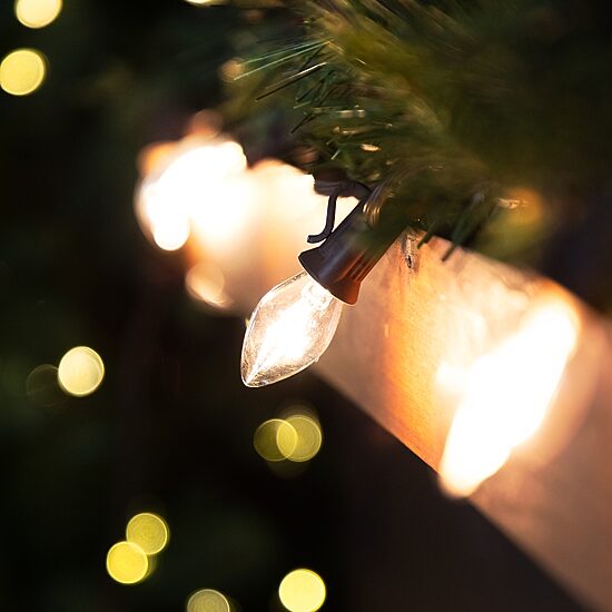 Northlight 24ft 25ct C7 Brown Wire String Lights