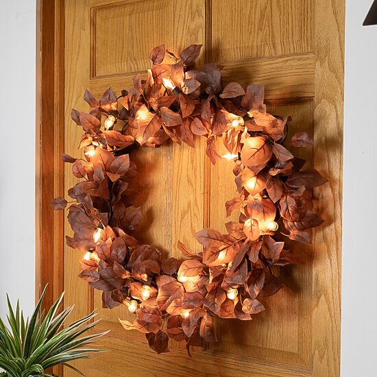 Northlight 24ft 25ct C7 Brown Wire String Lights