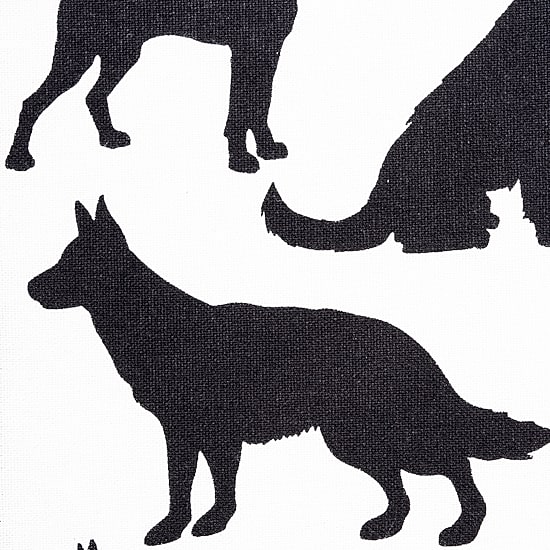 Design Imports Animal Print 3-pc. Dish Cloth Set