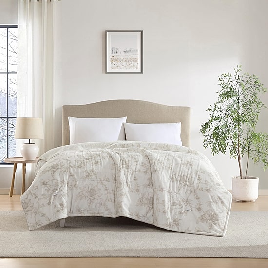 Laura Ashley Wistful Blooms Heated Midweight Floral Blanket