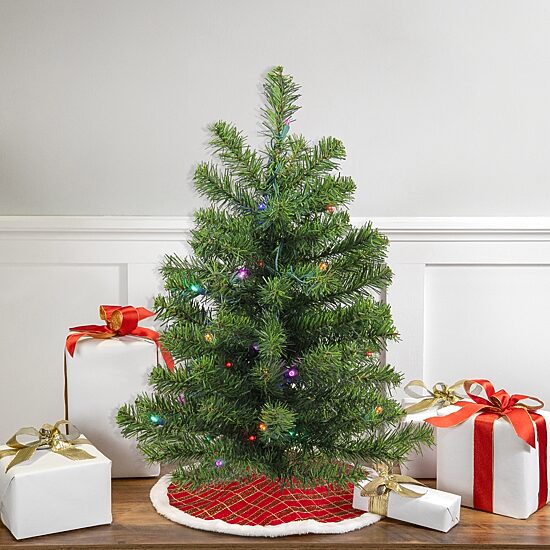 Northlight Canadian Pine With Multicolor Lights 2 Foot Pre-Lit Pine Christmas Tree