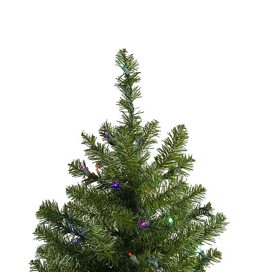 Northlight Canadian Pine With Multicolor Lights 2 Foot Pre-Lit Pine Christmas Tree